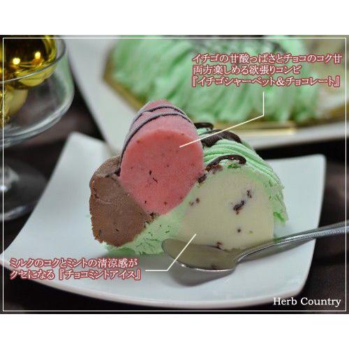 クリスマス アイスケーキ ・ チョコミント （ ドーナッツ型 ） ６号｜herbcountry｜03