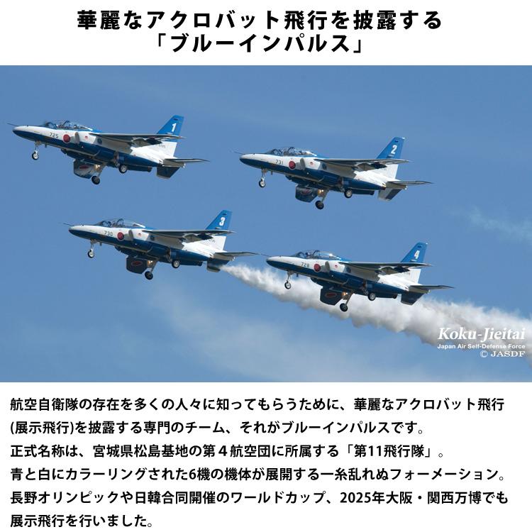 ドライTシャツ ブルーインパルス 基地ショップ限定 飛行機 Tシャツ