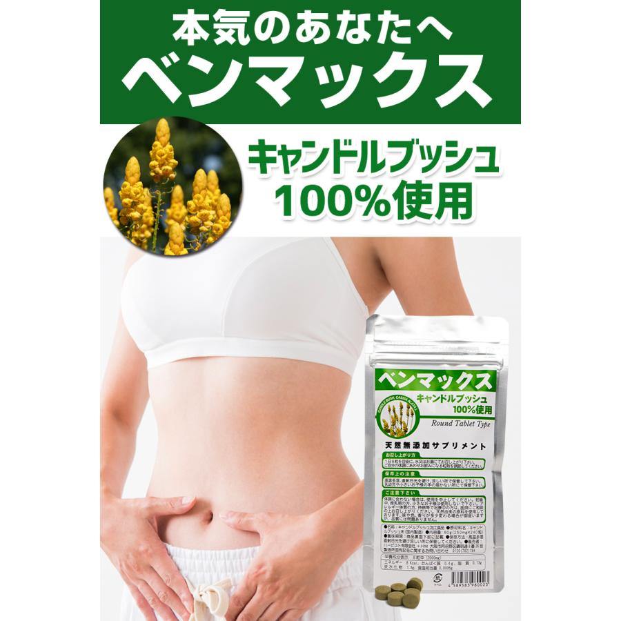 ハービスト有限会社 キャンドルブッシュ ベンマックス6P 送料無料】明日が楽しみになるスッキリ感！？次はあなたの番です