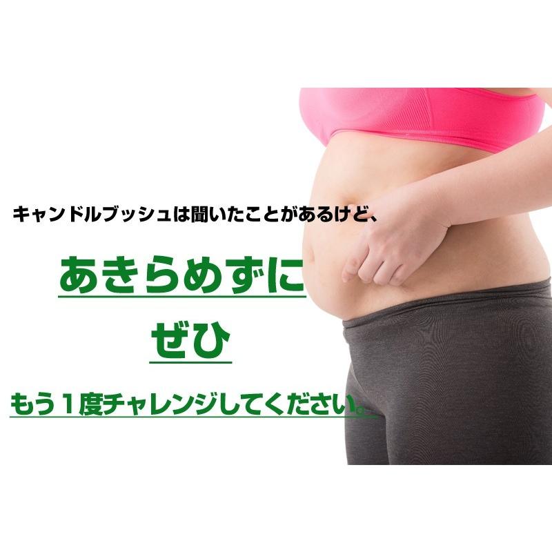 送料無料】明日が楽しみになるスッキリ感！？次はあなたの番です