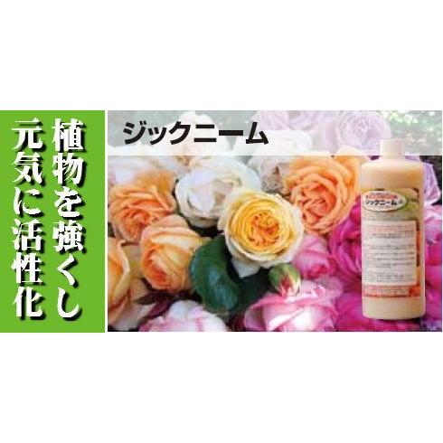 ニームオイル ジックニーム濃縮液 1リットル : ハーブのめぐみ - 通販