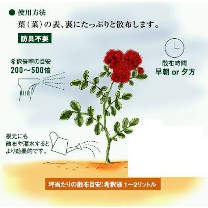ニームオイル ジックニーム濃縮液 1リットル : ハーブのめぐみ - 通販