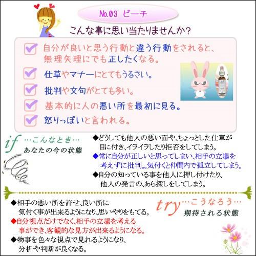 バッチフラワーレメディ 03ビーチ ノンアルコープタイプ 10ml