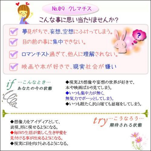 バッチフラワーレメディ 09クレマチス ノンアルコープタイプ 10ml
