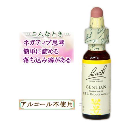 バッチフラワーレメディ 12ゲンチアナ ノンアルコープタイプ 10ml