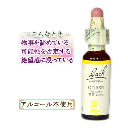 バッチフラワーレメディ 13ゴース ノンアルコープタイプ 10ml