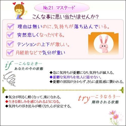 バッチフラワーレメディ 21マスタード ノンアルコープタイプ 10ml