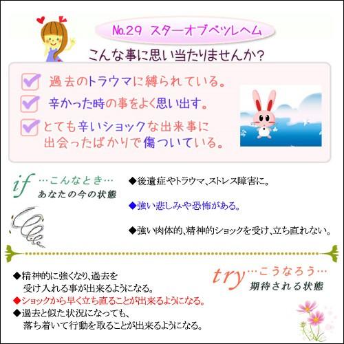 バッチフラワーレメディ 29スターオブベツレヘム ノンアルコープタイプ