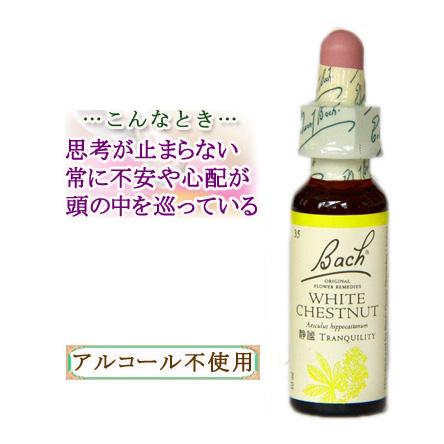 バッチフラワーレメディ 35ホワイトチェストナット ノンアルコープタイプ 10ml フラワーエッセンス｜herbremedy｜03