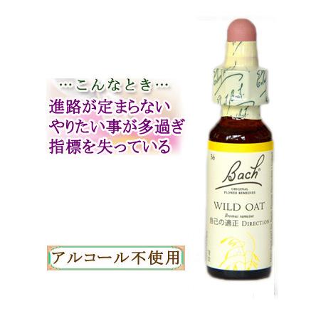 バッチフラワーエッセンス 36本セット 10ml バッチフラワーレメディ 36ワイルドオート ノンアルコープタイプ 10ml