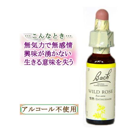 バッチフラワーレメディ 37ワイルドローズ ノンアルコープタイプ 10ml フラワーエッセンス :  bachflowerremedies37wildrose : 女性のしあわせ応援ハーブレンド - 通販 - Yahoo!ショッピング