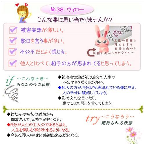 バッチフラワーレメディ 38ウィロー ノンアルコープタイプ 10ml