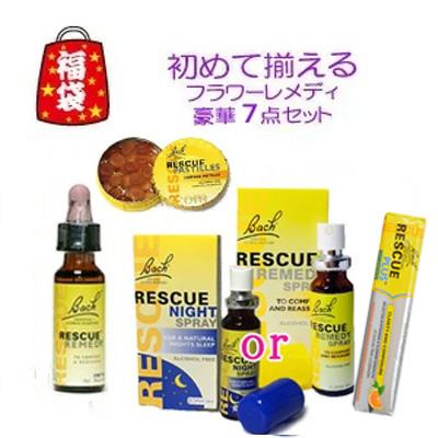 バッチフラワーエッセンスセット・フラワーエッセンスカード・5
