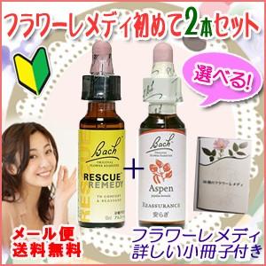 バッチフラワーレメディはじめて2本セット レメディ小冊子付き ゆう