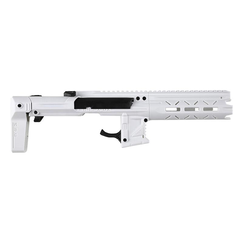 Aap-01 コンプリートキット ACTION ARMY AAP01 アサシン フルカスタム カービン