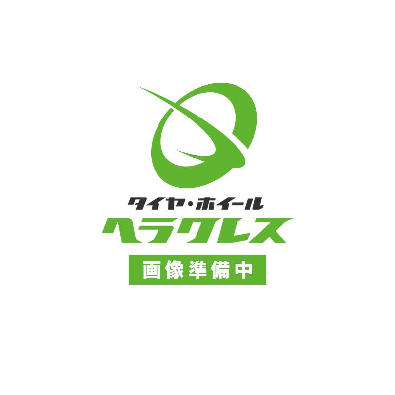 日本製鉄 タフブライト 19.5インチ×6.00(135) 6穴/222.25 JIS規格