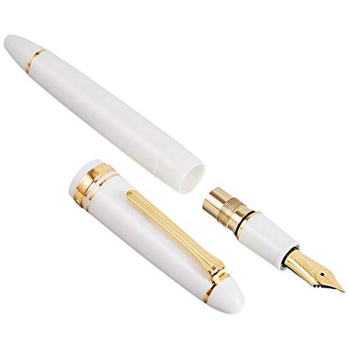 超安いセーラー万年筆 万年筆 プロフィット21 11-2021-610 ホワイト