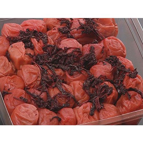 化学調味料不使用自然な味紀州南部産南高梅しそ漬け塩分約１０％１ｋｇ | 