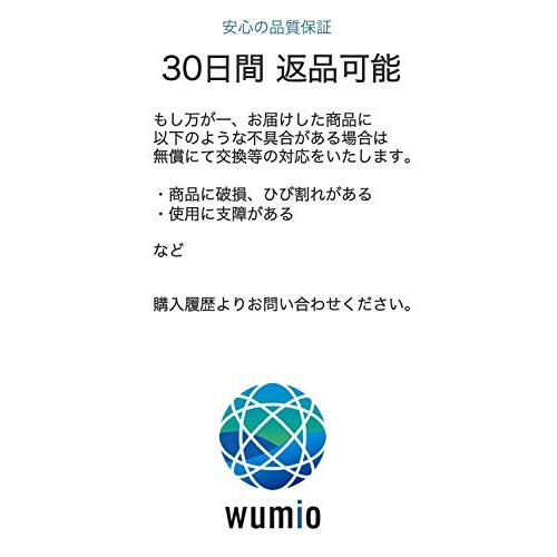 wumio ステンレス 耳かき 1本 スプーン スクリュー かき出し 耳掃除 耳垢 らせん 持ちやすい 重み 向き 頑丈 丈夫 携帯 ひんやり｜hercules23｜06