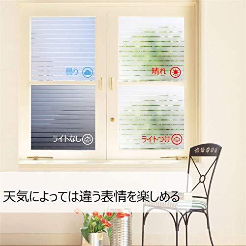 Rabbitgoo 窓ガラス目隠しフィルム 目隠しシート 窓フィルム