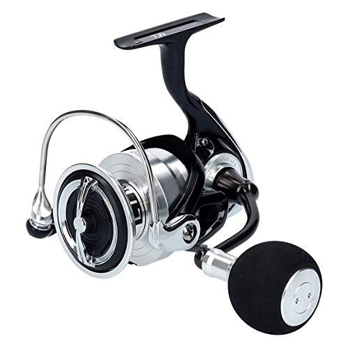 ダイワ(DAIWA) スピニングリール 19 レグザ LT5000D-CXH(2019モデル 