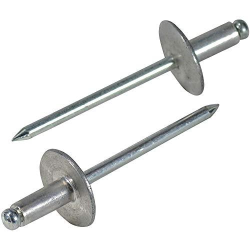 ロブテックス ブラインドリベット・ラージフランジ エコパック