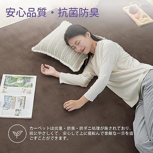 HARUMIN カーペット ラグ ラグマット 洗える 200×250cm 約3畳