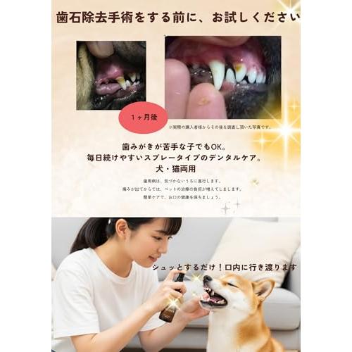 himesan 様REDENTA 犬猫用歯石ケアスプレー5本セット himesan 様REDENTA 犬猫用歯石ケアスプレー5本セット Amazon | ReDenta
