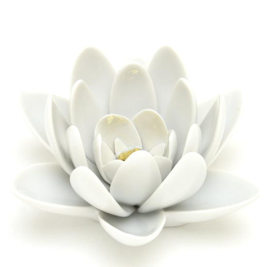 ヘレンド オーナメント 大鬼蓮 ヴィクトリアレジア 蓮の花 置物