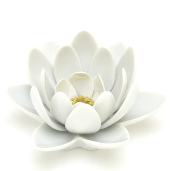 ヘレンド(Herend) 大鬼蓮(高さ:6cm) ヴィクトリアレジア(09134/A-OR)白磁金彩 ハンドメイド 置物 飾り物 オブジェ 送料無料 ギフト包装無料 ハンガリー製 新品_4