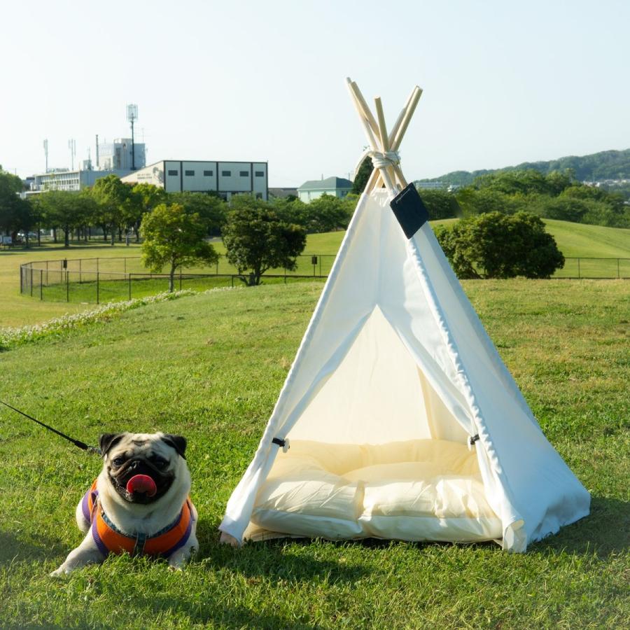 ペット テント ティピーテント かわいい 犬小屋 キャンプ 用品 アウトドア Y239 Swag Gear ヤフー店 通販 Yahoo ショッピング