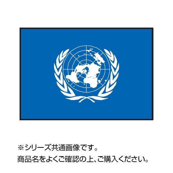 世界の国旗 万国旗 国連 70×105cm キャンセル返品不可 :1529652 