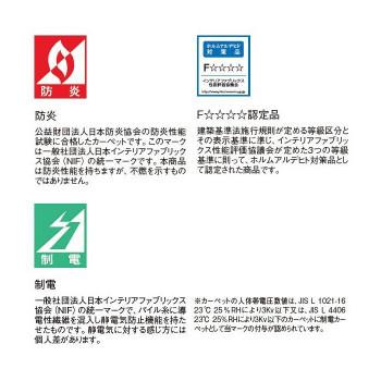 雑誌で紹介された 川島織物セルコン ユニットラグ カラーグレイニー 6枚入り Ur1613 O キャンセル返品不可 Rsjd Surakarta Jatengprov Go Id