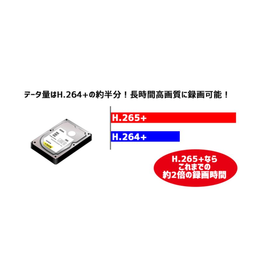 防犯カメラ 同一LAN接続 デジタルレコーダー8chセット 数量限定 防犯カメラ 同一LAN接続 デジタルレコーダー8chセット 数量限定