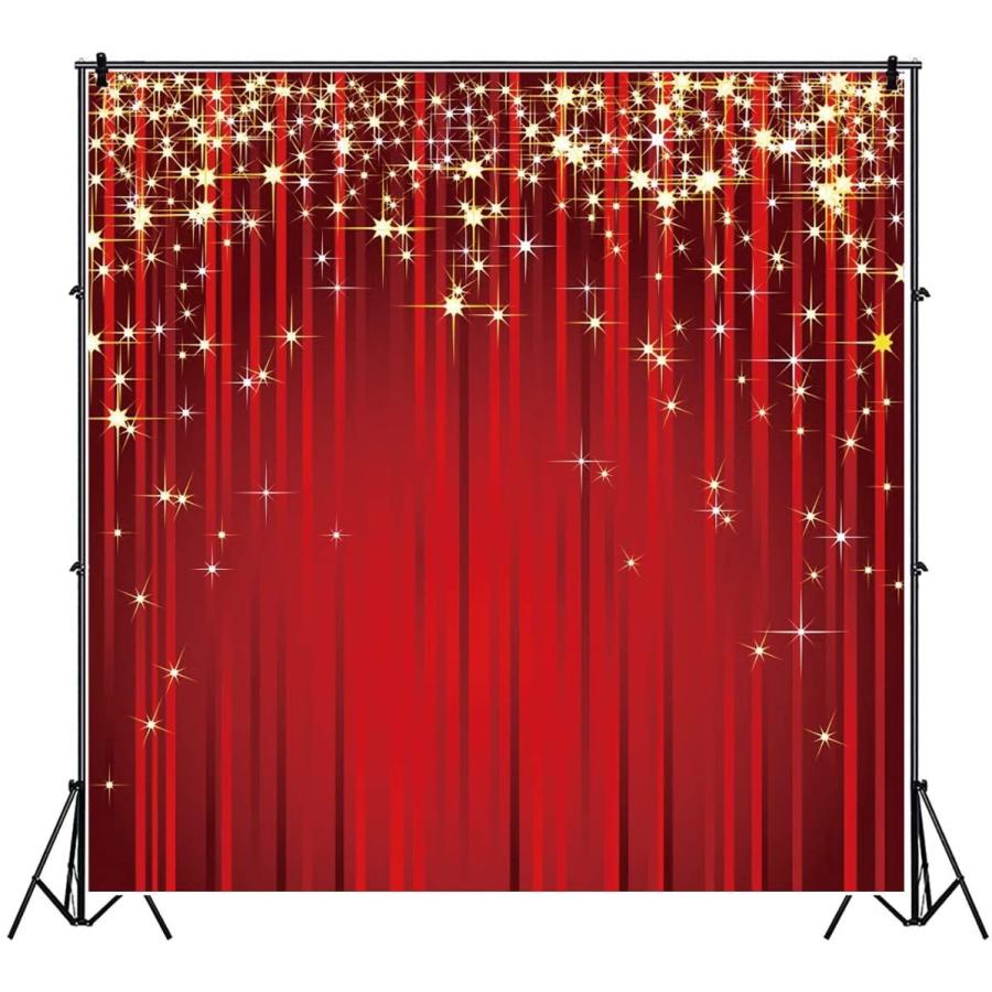 Qinunipoto 1 5x1 5m 背景布 写真の背景 写真撮影用 流れ星と輝かしい背景 写真背景 赤いカーテンの背景 芸術的背景 撮影 Heros Shop 通販 Yahoo ショッピング