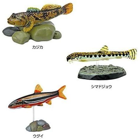 魚 立体図鑑 フィギュア 日本の淡水魚 カロラータ リアル 10種 食品衛生法クリア 解説書 スタンド付き フィギュアボックス その他 年間 ランキング6年連続受賞 Themtransit Com