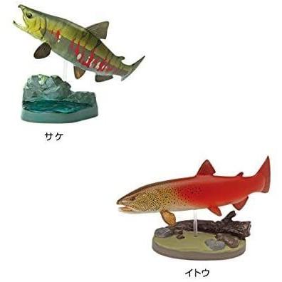 魚 立体図鑑 フィギュア 日本の淡水魚 カロラータ リアル 10種 食品衛生法クリア 解説書 スタンド付き フィギュアボックス その他 年間 ランキング6年連続受賞 Themtransit Com