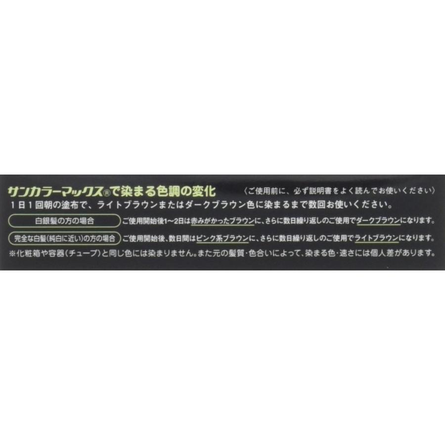 白髪染め サンカラーマックス ブラウン 75g×3本セット クリーム 主に
