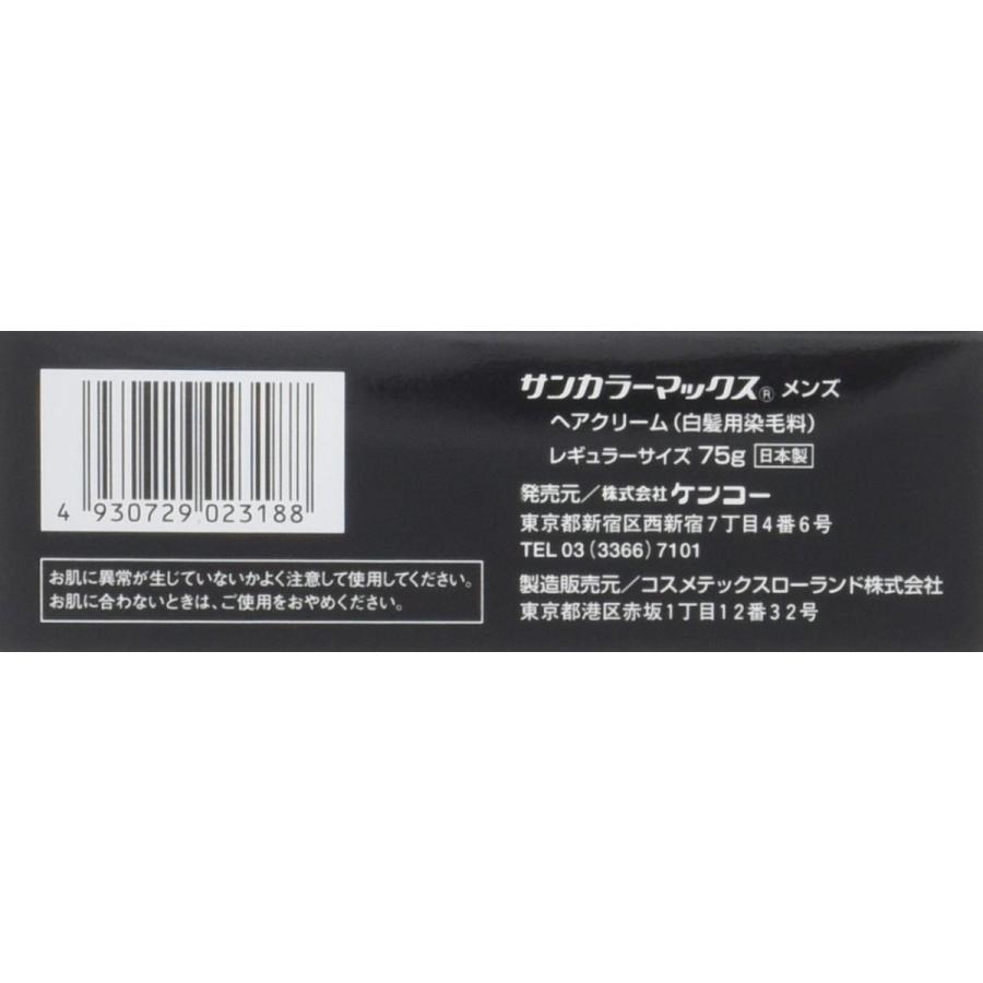 白髪染め サンカラーマックス ブラック 75g×3本セット 75g クリーム 主