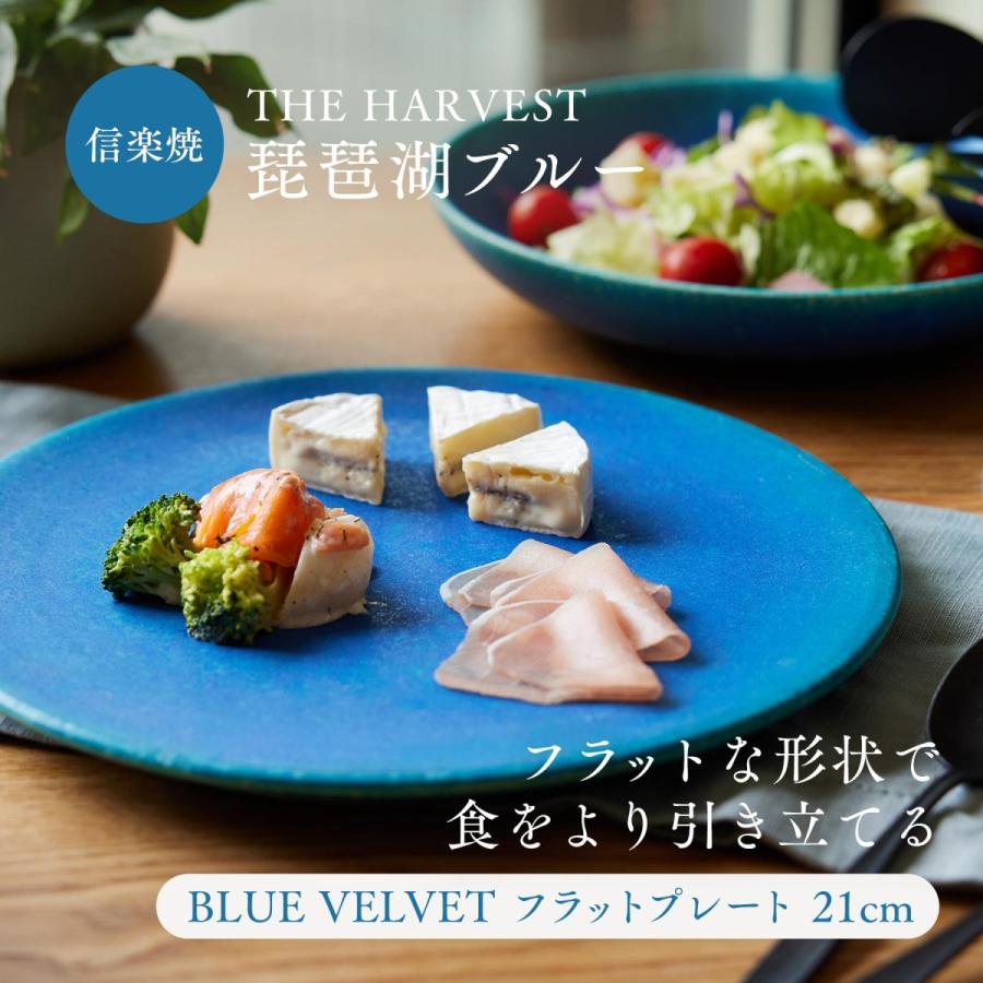 中皿 21cm 信楽焼 フラットプレート BLUE VELVET 食器 和食器 皿 丸