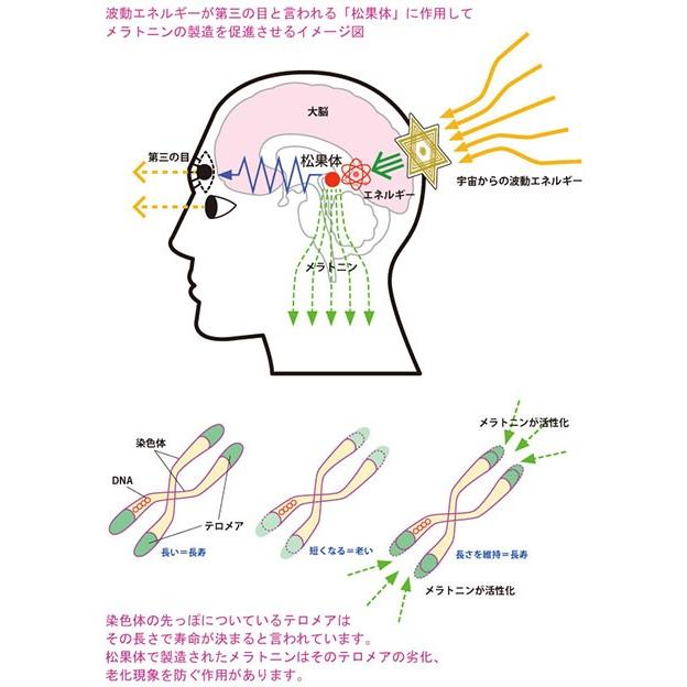 【５個セット】「+19」ミラクル・ヘキサ、セラミックヘッド紐付き＃宇宙エネルギーを手軽に取り込めるミラクル・ヘキサで活性化！｜hexalife｜05