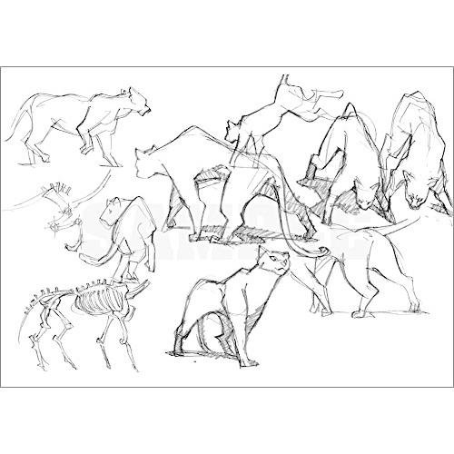 吉成曜画集 ラクガキ編 の ー 。 ラ 、 集 は で た ン 吉 成 曜 画 ス イ ト い あ る フ に な レ ァ れ 編 ケ ッ チ も リ 『 』 さ 吉成曜画集 ラクガキ編 「 ク ガ キ 」 プ て を り と 大 ら 収 録 書 籍 ヴ ル ア ニ メ タ 彼 本 シ ョ 作 本 雑誌