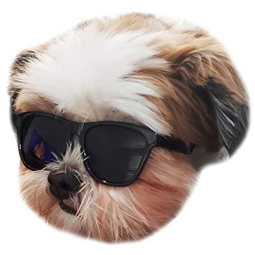 【福袋セール】 Dogs Small for Goggles Sunglasses 80s Pet Dog G014 up (Black) 15lbs to その他食器、カトラリー