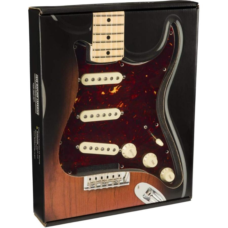 純正割引 フェンダー Fender ギターパーツ PreーWired Strat Pickguard， Original ´57/´62 SSS， Tortoi