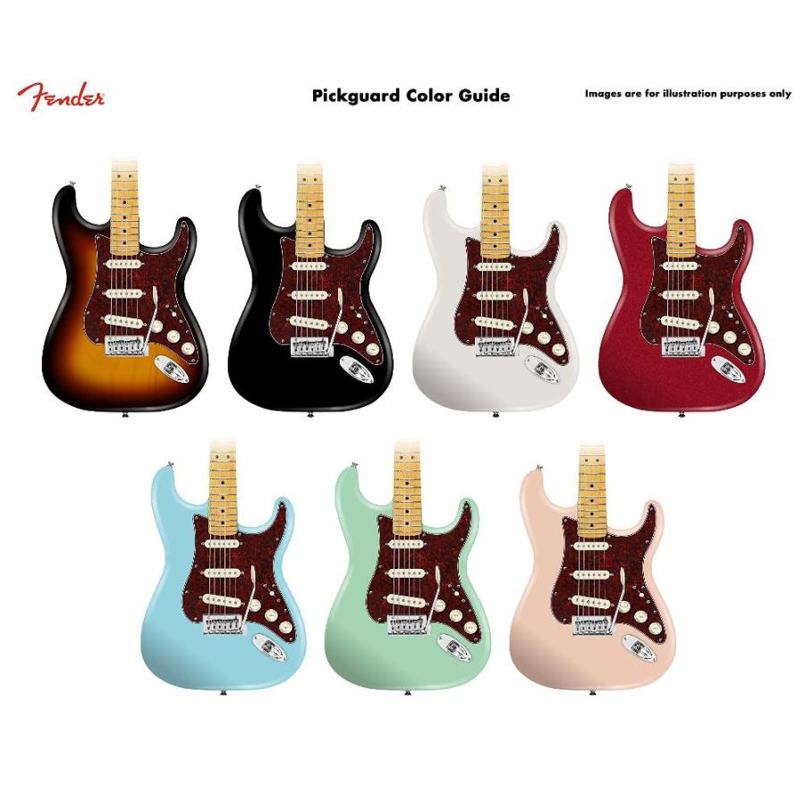 純正割引 フェンダー Fender ギターパーツ PreーWired Strat Pickguard， Original ´57/´62 SSS， Tortoi