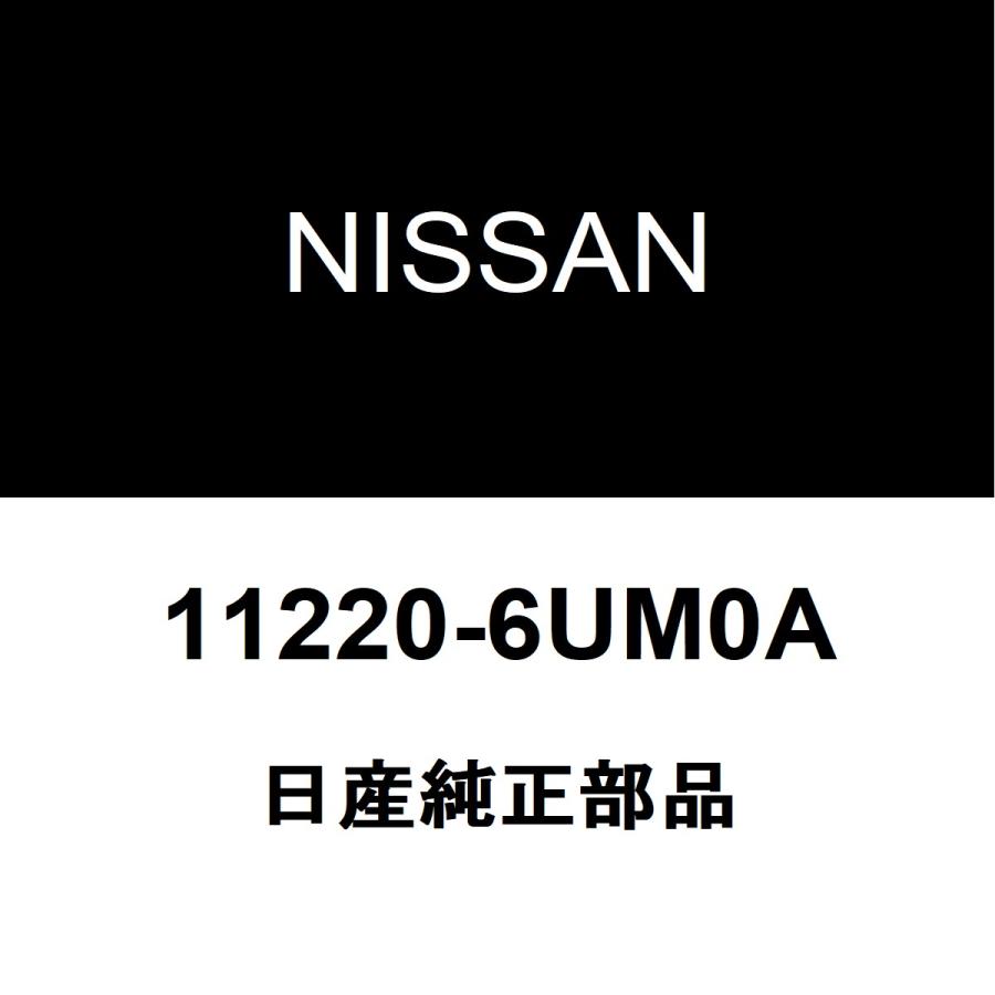 11220-6um0a-11220-6um0a-6aa-t33-tdnare9