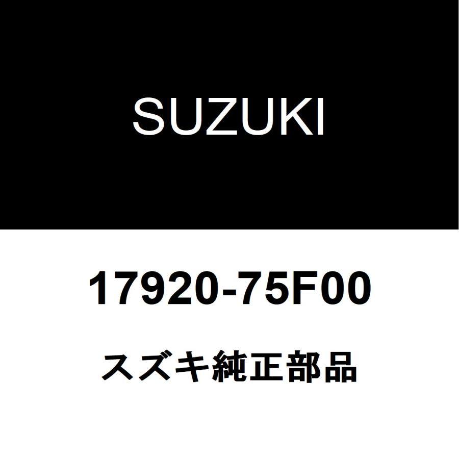 Suzuki 17920 75f00