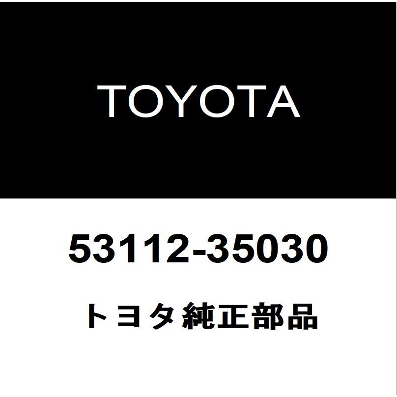 専用 トヨタ（TOYOTA） トヨタ純正 FJクルーザー ラジエータグリル 53112