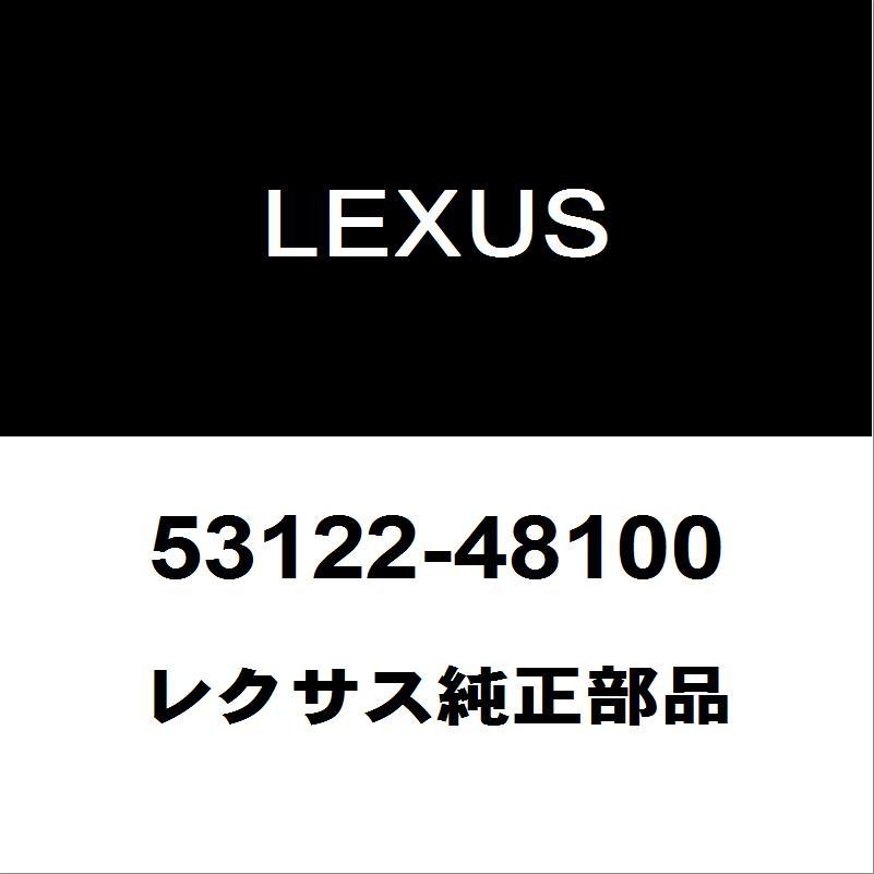 専用品 レクサス（LEXUS） レクサス純正 RX ラジエータグリルモール 53122
