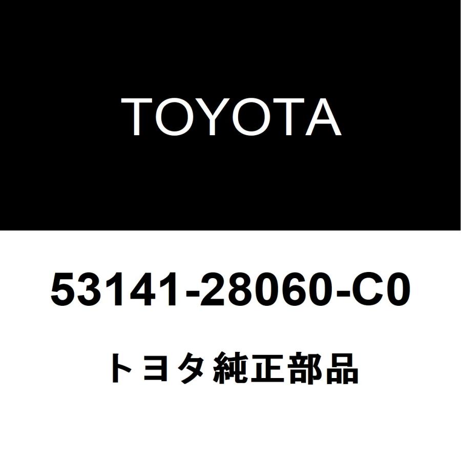 トヨタ（TOYOTA） トヨタ純正 ノア ラジエータグリルモール 53141